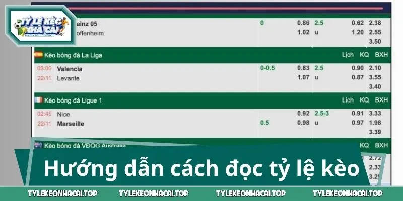 Hướng dẫn cách đọc tỷ lệ kèo