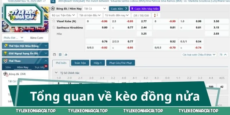 Tổng quan về kèo chấp 1 trái đồng nửa